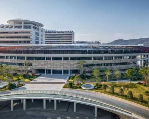 囊胚男女概率?第二代试管助孕供卵机构冷冻胚胎移植囊胚男女比例是多少?