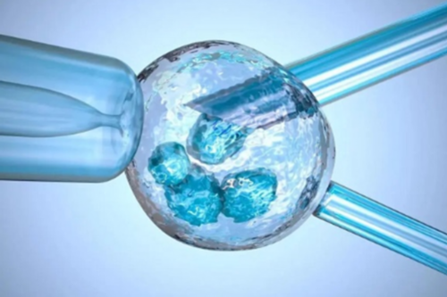 孕早期怎么算怀孕的周期比较准？