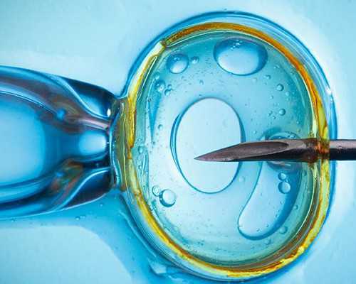 河北试管代生费*助孕公司排名top10分享最新试管代生费价格一览表公布