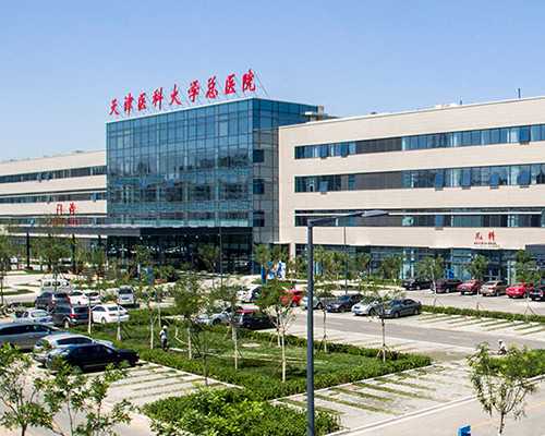 胚胎发育的五个时期