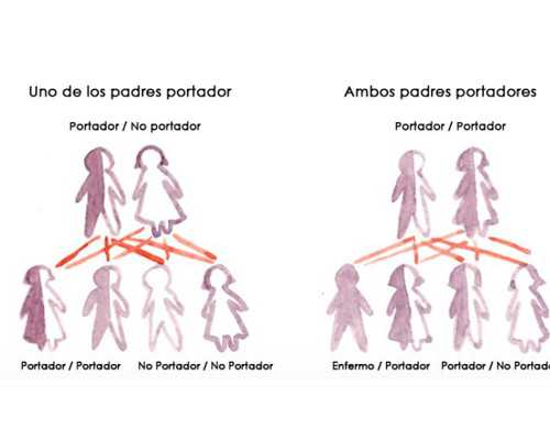 试管建档花费大概多少钱