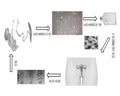 受精卵着床其实是有感觉的，身体有这4种反应的，可能就是怀孕了