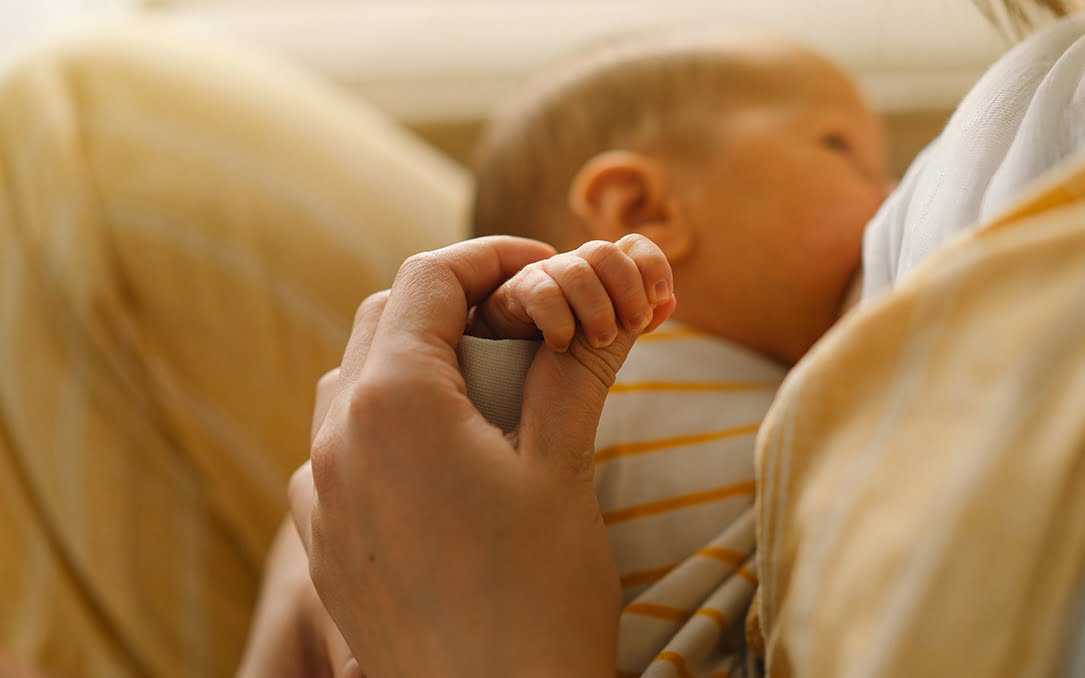 石家庄公立医院供卵试管医院排名