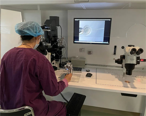 试管婴儿冷冻胚胎移植时间如何确定?冷冻胚胎移植后的注意事项