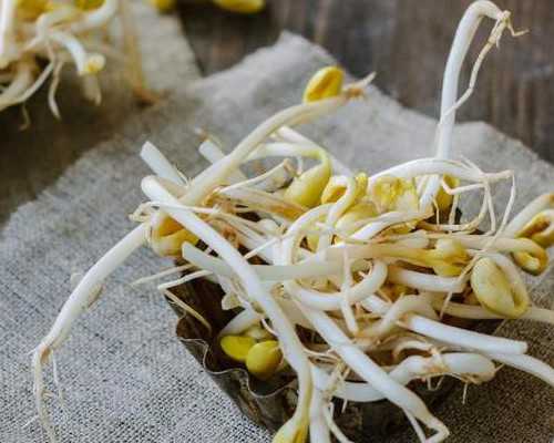 九江三代代生公司多少钱价格明细表