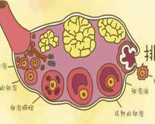 7年四次试管婴儿多少钱