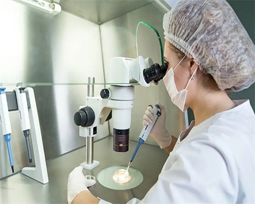 哪里能做三代国内代生孩子价格(哪里做三代国内代生孩子价格成功率最高)