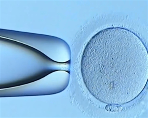 石家庄做第三代试管比较厉害的医院哪里好