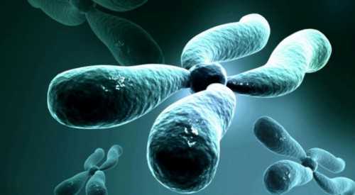 佛山市第一人民医院做代生大约多少钱成功率高吗?代生大约多少钱费用大概要