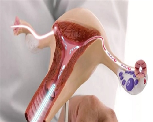 苏州母子医院做代生孩子可选性别冻胚移植的成功率怎么样?